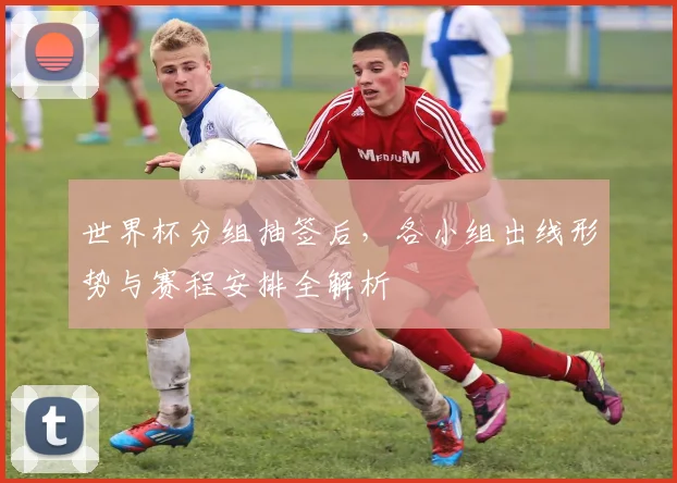世界杯分组抽签后，各小组出线形势与赛程安排全解析