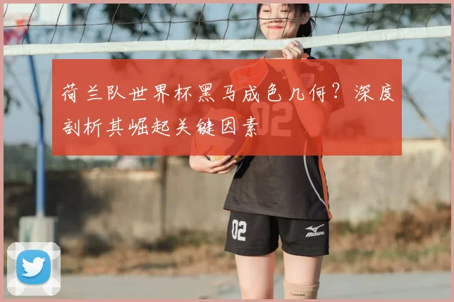 荷兰队世界杯黑马成色几何?深度剖析其崛起关键因素